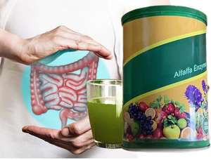 100% טבעי alfalfffa (medicago sativa) צמח מיובש | איכות הקולינרי & שימוש בריאות - Product Image 5