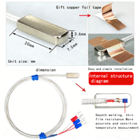 Thermistance PT100 de type patch, capteur de température adhésif, sonde de surface, haute température, étanche