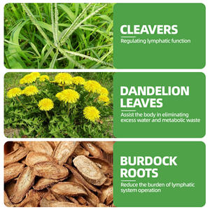 Té para la Salud de la Circulación Linfática con Diente de León y <span class=keywords><strong>Bardana</strong></span>, Limpia y Refuerza el Sistema Inmunológico, Bolsitas de Té - Product Image 3