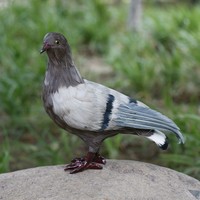 Ornement de pigeon réaliste Hosseini, gris et blanc, colombes de la paix (ailes écartées/plume artificielle), en plastique, pour intérieur/extérieur, jardin