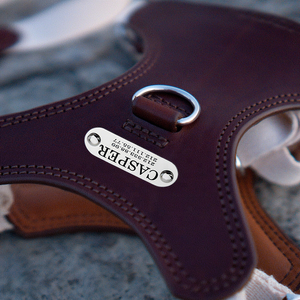 Set tali Harness kulit Vegan mewah kustom nama pribadi untuk Bulldog Perancis, Pug, Cavalier, anjing servis Dachshund - Product Image 2