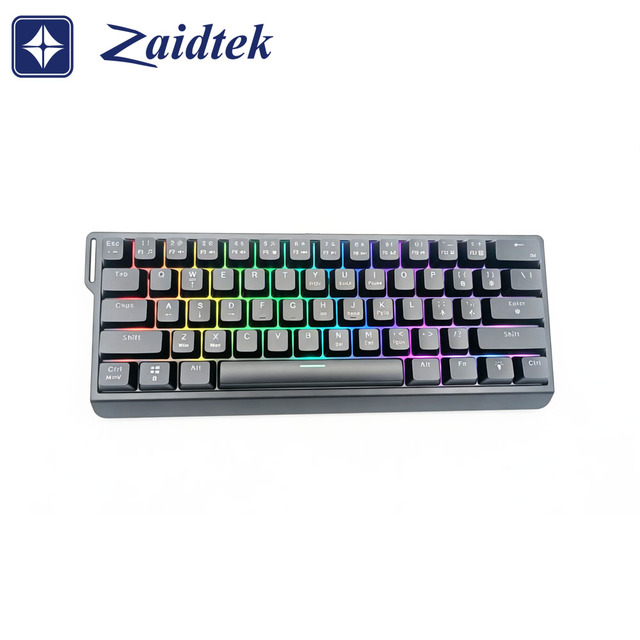 61-Key Wired USB Type C Keyboard with Red Brown Green Switch  Keyboard  RGB Backlit  Mechanical Gaming Keyboard Compact Keyboard