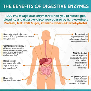 Suplemen Kapsul Enzim Pencernaan Alami dengan Kandungan Prebiotik dan Probiotik  Tablet Kapsul - Product Image 3