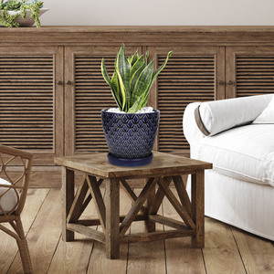 <span class=keywords><strong>Macetas</strong></span> suculentas de flores pequeñas <span class=keywords><strong>para</strong></span> decoración del hogar, bandeja de porcelana, <span class=keywords><strong>macetas</strong></span> de cerámica <span class=keywords><strong>para</strong></span> plantas de interior - Product Image 5