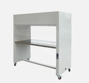 Ginee Medical aseptic work hot sale direct deal 2 persons laminar flow cabinet clean work bench for hospital