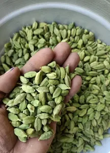 El cardamomo verde (Elaichi) es una especia aromática de la familia de las especias de jengibre, conocida por su sabor fuerte, dulce, cítrico y mentolado. - Product Image 5