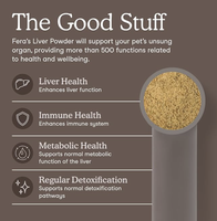 Poudre de soutien hépatique pour chiens et chats, choline, vitamine E, complexe B, santé cellulaire, soutien nutritionnel, suppléments pour animaux de compagnie OEM ODM
