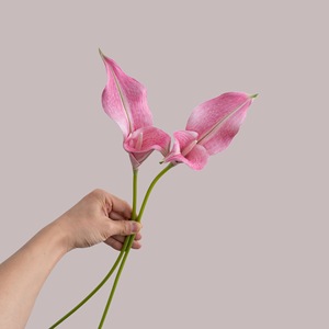 Bouquet de lys artificiels CallaFloral, blanc, rose, rouge, violet, en plastique, décoration intérieure, arrangement de mariage - Product Image 2