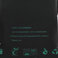Sac de Courrier Biodégradable Noir Écologique Compostable Personnalisé pour Petites Entreprises, Emballage de Vêtements Entièrement Personnalisé, Nouveau