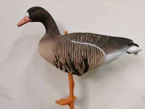 Señuelos de caza de ganso de nieve <span class=keywords><strong>canadiense</strong></span> flotante de espuma gris de ganso salvaje con frente blanco manchado de plástico corrugado EVA - Product Image 3