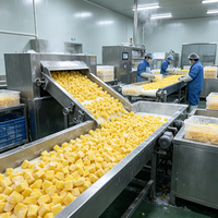 Groothandel Diepvries Dessert Exotische Mango Smaak Diepvries Mango OEM ODM Beschikbaar 10kg Karton Bulkverpakking