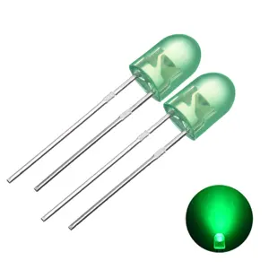 Lange Poten 2pin 4pin Bi-Color Rgb 0.06W 546Mm Ovaal Door Gat Lichtgevende Diode Voor Led Verlichting