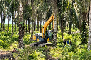 Excavatrice forestière Agile XE135F, puissance de 72,7 kW pour les opérations d'élagage, le débroussaillage et l'entretien des sentiers - Product Image 3