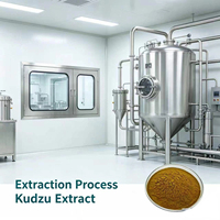 Pincredit Vente en gros de poudre d'extrait de racine de Kudzu de haute qualité, Puerarin 30% 98%
