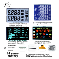Layar LCD HTC TN/STN 12-Digit, Layar LCD Pompa Dispenser Bahan Bakar, Tampilan Segmen Suhu Operasi Definisi Tinggi