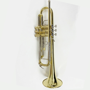 <span class=keywords><strong>Trompeta</strong></span> de Latón Amarillo <span class=keywords><strong>con</strong></span> Afinación BB, Diseño Famoso, Tamaño Bell 123cm, para una Interpretación Fácil - Product Image 1