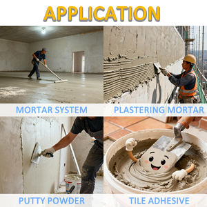 Poudre Polymère Redispersable pour <span class=keywords><strong>Colle</strong></span> Adhésive, Poudres Redispersables pour Enduit Mural RDP, Additif pour Béton - Product Image 2