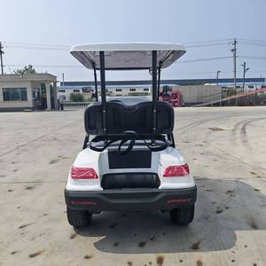Carrito de Golf Eléctrico de Dos Plazas Personalizable 2026 con Motor de 3500W-7500W y Batería de Litio, Personaliza Cada Detalle para tu Viaje - Product Image 4