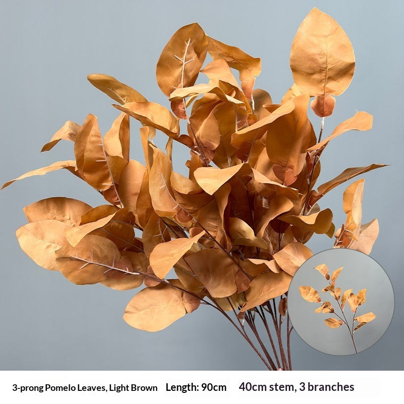 Pomelo leaf