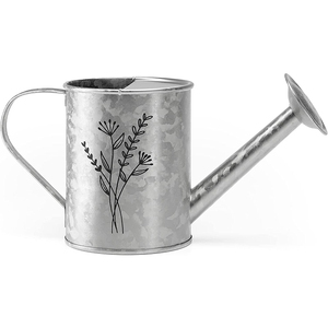 Home Decor Kids Gift Small Metal Watering Can Mini Flower pot