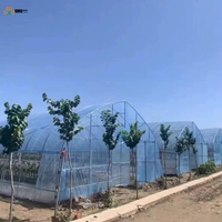 Film de serre diffuseur de lumière à 7 couches sur mesure, résistant aux UV, anti-goutte, en plastique agricole pour la culture des cultures