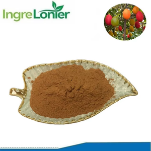 Fabrieksprijs Ctm Mu Bie Zi Gac Fruitpoeder Momordica Cochinchinensis Zaad Extract Poeder In Bulkvoorraad - Product Image 2