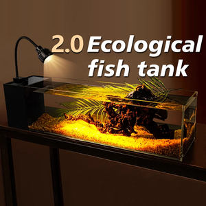 Acquario all'Ingrosso Medio e Piccolo in Vetro Extrachiaro per Paesaggistica Acquario per Pesci di Fiume - Product Image 2