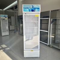 Réfrigérateur vertical commercial pour boissons, vitrine à porte vitrée simple, efficacité énergétique A++, température 2-8°C