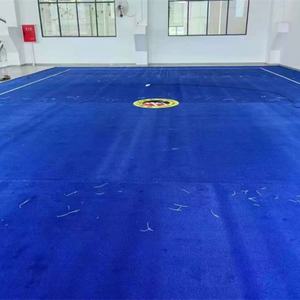 Alfombra de Ejercicio Personalizada para Piso, Tapete de Baile, Alfombra para Cancha de Tenis, en Oferta - Product Image 2