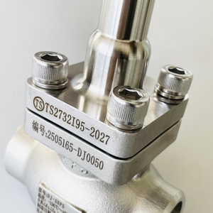วาล์วควบคุมอุณหภูมิต่ำแบบลูกบอล รุ่น DJ61F40P DN25 สำหรับการจัดเก็บแบบจำนวนมาก ผลิตโดยโรงงาน OEM พร้อมคู่มือการใช้งาน รุ่น DJ-25PS วาล์วควบคุมอุณหภูมิต่ำแบบก้านกลาง รุ่น DJ-25PS  DJ-25PS Cryo DJ-25 - Product Image 2