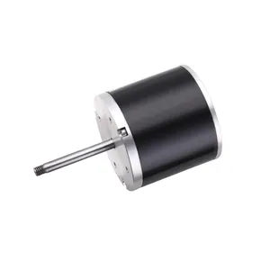 CHINA Manufacture 12/24v/48v Dc Motor 200w/800w/1kw/2kw 20000rpm Brushless Dc Motor Sliver