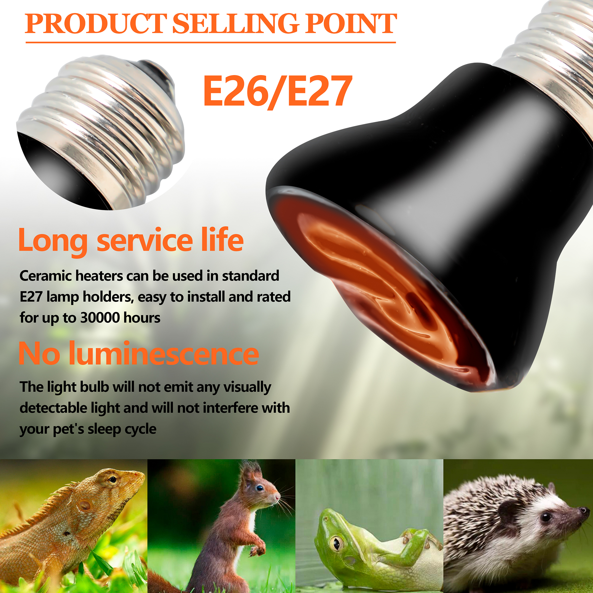 product-1-1 product-1-1