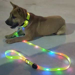 LINLI PVC Coated Waterproof Glow In Dark Dog Leash With Light Rechargeable Light Up LED Dog Leash For Pet Safety Night Walking