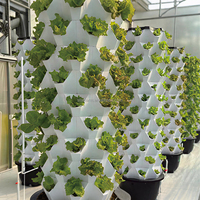 Système de culture hydroponique Starfarm Pineapple Tower à 6 niveaux pour légumes, jardin vertical d'intérieur, système d'irrigation goutte-à-goutte/aéroponique, pompe automatique 65L