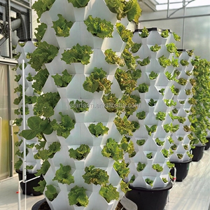 Système de culture vertical Starfarm Hydroponic Pineapple <span class=keywords><strong>Tower</strong></span> à 6 niveaux pour légumes, jardin vertical, système d'irrigation goutte-à-goutte/aéroponique, pompe automatique 65L - Product Image 4