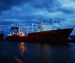 中国からスリランカへの船便検査 - Product Image 1