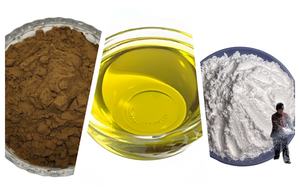 パルメット抽出物粉末粉末粉末脂肪酸のこぎりパルメット抽出物工場供給 - Product Image 4