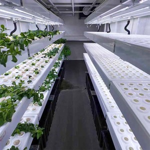 Enclosed sterile space, pest-free environment, low energy use for <b>fresh</b> leaf <b>vegetable</b> farming Leafy <b>Vegetable</b> Container Farm - Product Image 4