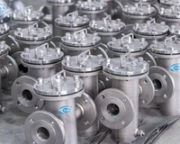 Nouveau filtre panier en acier inoxydable 304/316L pour cuve sous pression, idéal pour la filtration de l'eau domestique