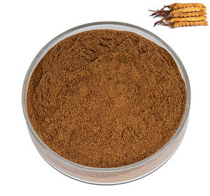 Polisacárido Militaris polvo orgánico Caterpillar hongo extractos Cordyceps Sinensis extracto - Product Image 2