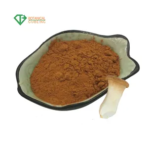 Factory supply natural coprinus comatus powder extract 30% UV polysaccharide powder