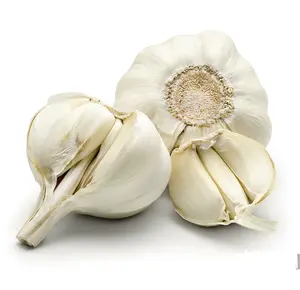 chinese/china pure white garlic factory from snow white garlic plant farm