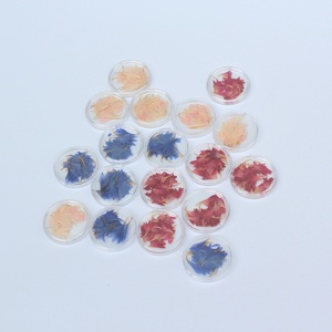 M045 <span class=keywords><strong>fiori</strong></span> in <span class=keywords><strong>fiordaliso</strong></span> naturale <span class=keywords><strong>fiori</strong></span> <span class=keywords><strong>fiori</strong></span> <span class=keywords><strong>fiori</strong></span> <span class=keywords><strong>fiori</strong></span> <span class=keywords><strong>fiori</strong></span> <span class=keywords><strong>fiori</strong></span> <span class=keywords><strong>fiori</strong></span> per Nail artigianato creazione di gioielli gioielli cornice in resina minimo 50 pz pasqua - Product Image 2