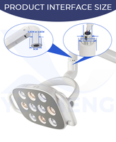 Lampe LED dentaire sans ombre pour fauteuil dentaire, clinique, traitement chirurgical, éclairage