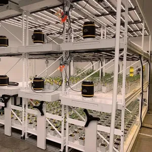 Système hydroponique vertical de culture de plantes à effet de serre