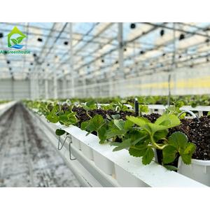 Support galvanisé haute résistance serre <span class=keywords><strong>fraise</strong></span> tomate plantation verticale culture <span class=keywords><strong>gouttière</strong></span> en plastique systèmes de culture - Product Image 4