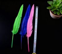 Plumes d'oie naturelles, 30 à 35 cm, pour décoration artisanale, accessoires de danse