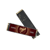 قرص صلب M.2 NVMe PCIe 4.0 Gen4 بسعة 1 تيرابايت و2 تيرابايت و4 تيرابايت عالي السرعة SSD للبيع بالجملة وترقية التخزين لأجهزة PS5 وأجهزة الكمبيوتر المخصصة للألعاب