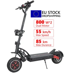 Europa Kostenloser Versand Lager Neues Design Zweirad kugoo g Booster 800W * 2 Motor Faltbarer Offroad-Elektro roller für BE IT