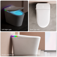 Toilette intelligente monobloc personnalisée avec réservoir intégré, chasse d'eau automatique et nettoyage bidet pour salle de bain de villa